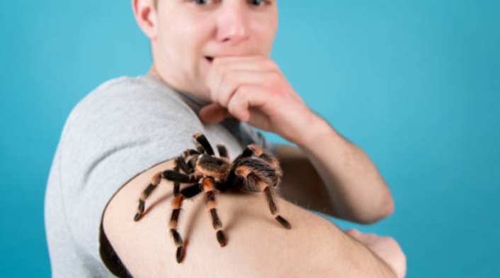 Aracnofobia Aracnofobia