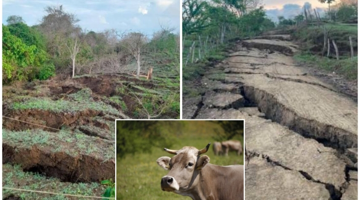 Tras temblor en Colombia, aparecieron grietas que se han tragado hasta vacas en Córdoba