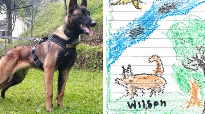 Wilson perro rescatista Wilson perro rescatista