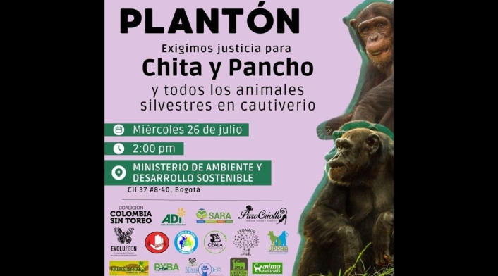 Plantón por Pancho y Chita Plantón por Pancho y Chita