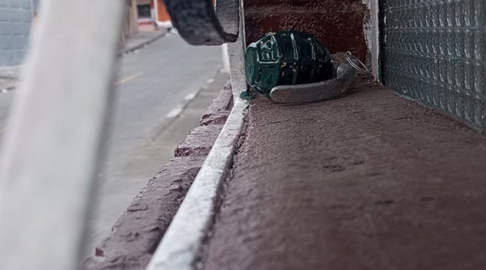 Nueva granada en Bogotá: familia encontró una en la ventana de su casa Nueva granada en Bogotá: familia encontró una en la ventana de su casa