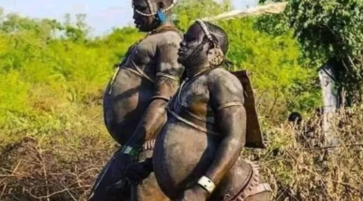 Los Bodi premian al hombre más barrigón Hombres de la tribu africana Bodi