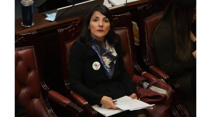Irene Vélez: posible reemplazo Ministra de Minas y Energía Irene Vélez: posible reemplazo Ministra de Minas y Energía