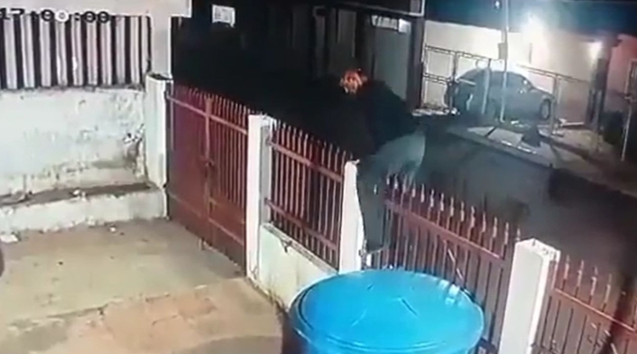 Ladrón es ahuyentado por tres perros pincher Ladrón es ahuyentado por tres perros pincher