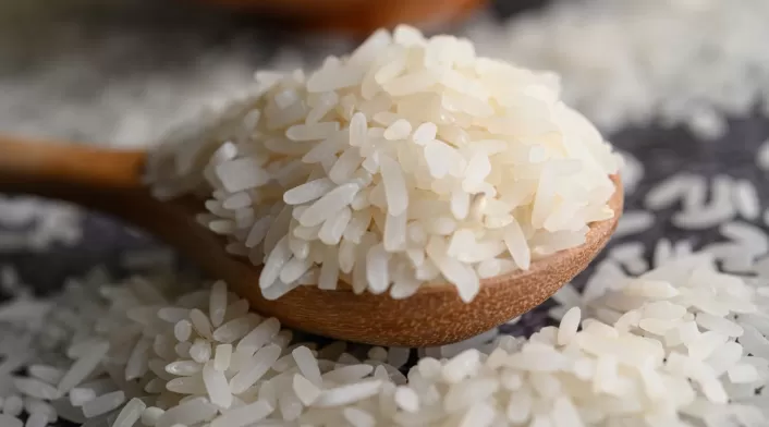 Arroz: alcanzó su precio máximo en 15 años Arroz: alcanzó su precio máximo en 15 años