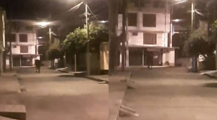 El caballo ‘fantasma’ que atemoriza a los habitantes de Ibagué