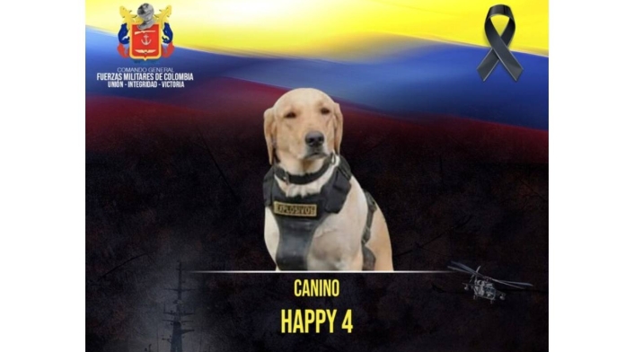 Happy, el perrito que murió tras detectar un explosivo Happy, el perrito que murió tras detectar un explosivo