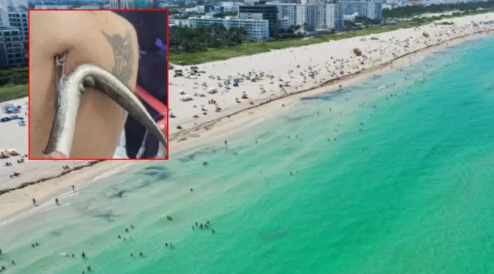 Mantarraya perfora la espalda de turista que se bañaba en famosa playa
