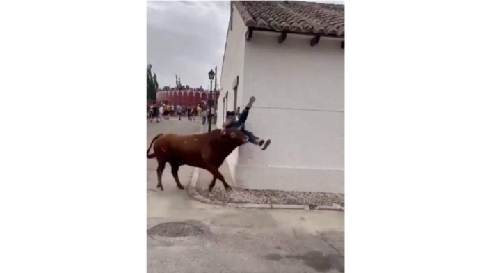 Mujer fue corneada por toro por andar mirando el celular Mujer fue corneada por toro por andar mirando el celular