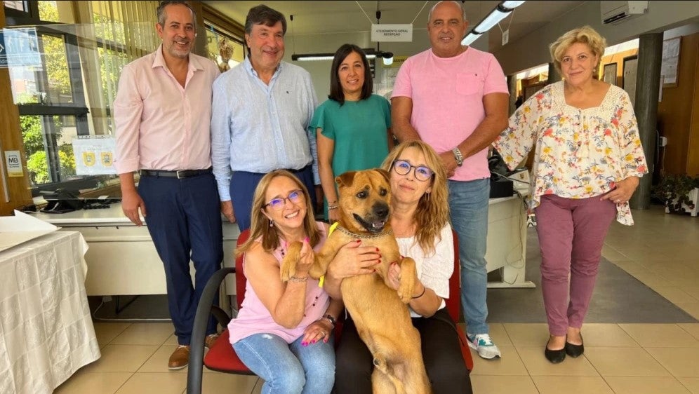Perrito Boris con los empleados
