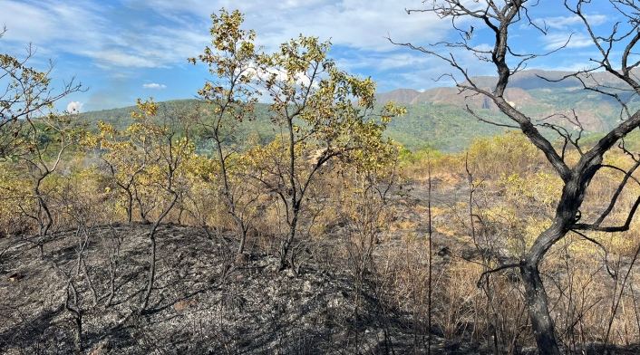 Calamidad pública en Boyacá por la fuerte sequía Calamidad pública en Boyacá por la fuerte sequía