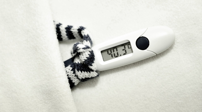 Fiebre Fiebre