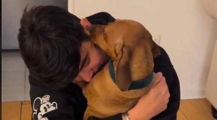 Perrito reacciona a la llegada de su dueño Perrito reacciona a la llegada de su dueño