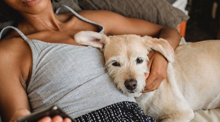 ¿Qué peligros trae dormir con la mascota? Perro durmiendo con su dueña