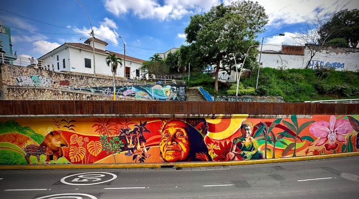 Diputado asegura que el mural pintado en el Túnel Mundialista costó $1.300 millones