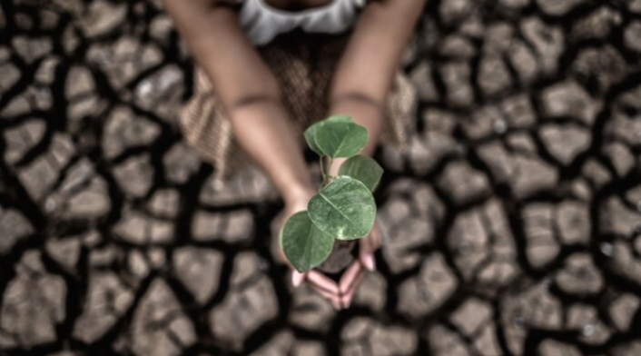 Empresas trabajan por un futuro sostenible Cambio climático y futuro sostenible en Colombia