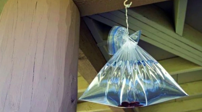 Bolsa de agua Bolsa de agua