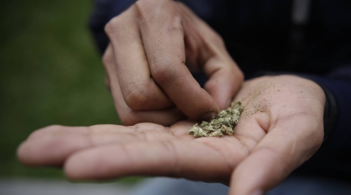 Alemania abre las puertas a la legalización controlada del cannabis