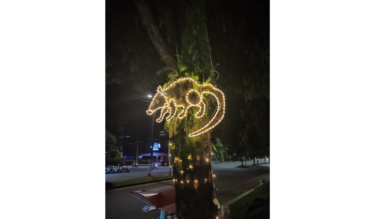 Iluminación para Navidad en Florencia, Caquetá 2023