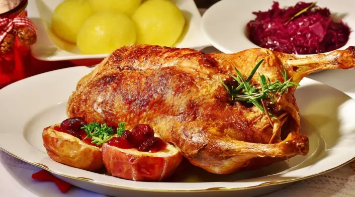 Pollo Pollo