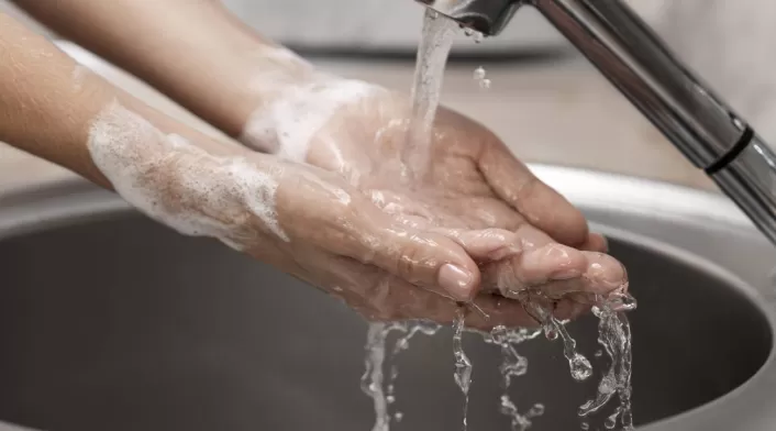 Agua Agua