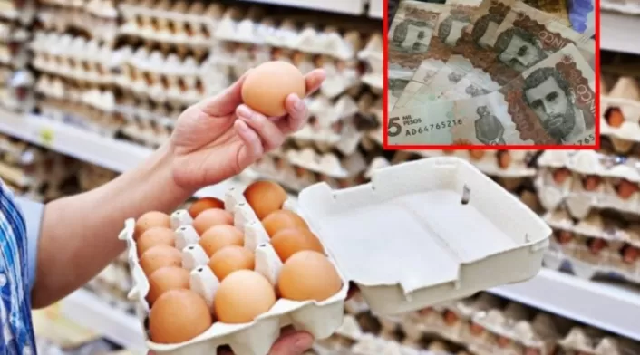 Precio cubeta de huevos Precio cubeta de huevos