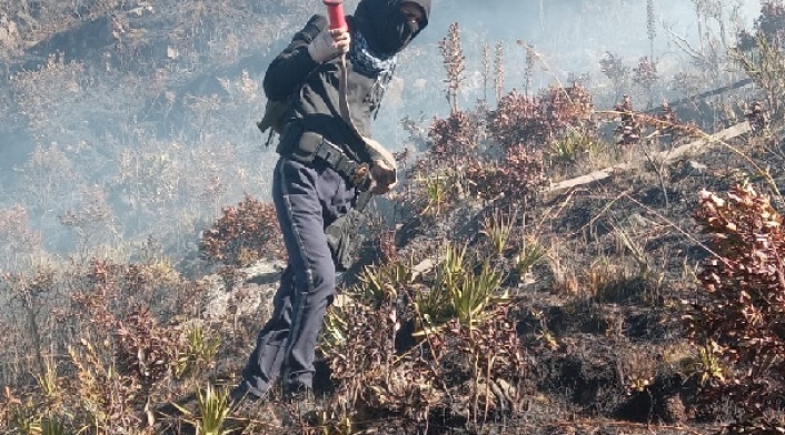 Incendio