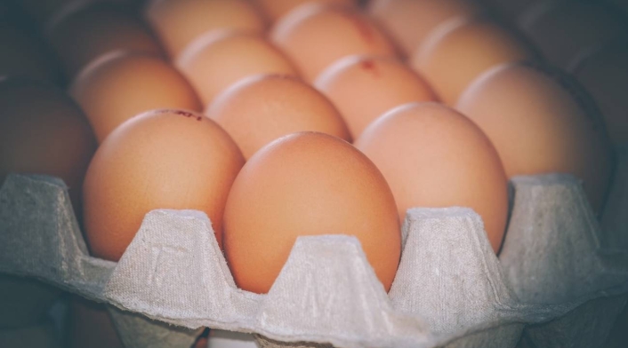 Huevos Huevos