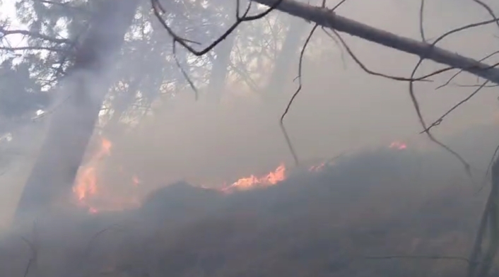 Incendio Bogotá