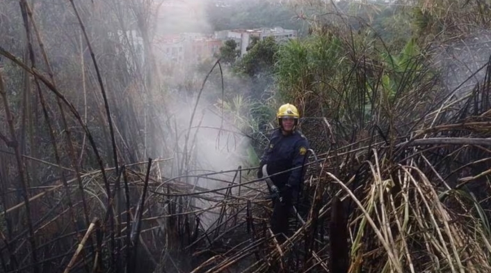 Incendio de capa vegetal en Risaralda Incendio de capa vegetal en Risaralda