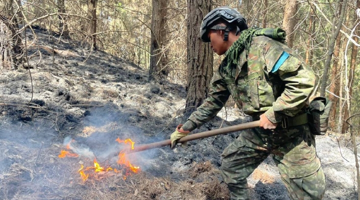 Incendio forestal en Colombia Incendio forestal en Colombia
