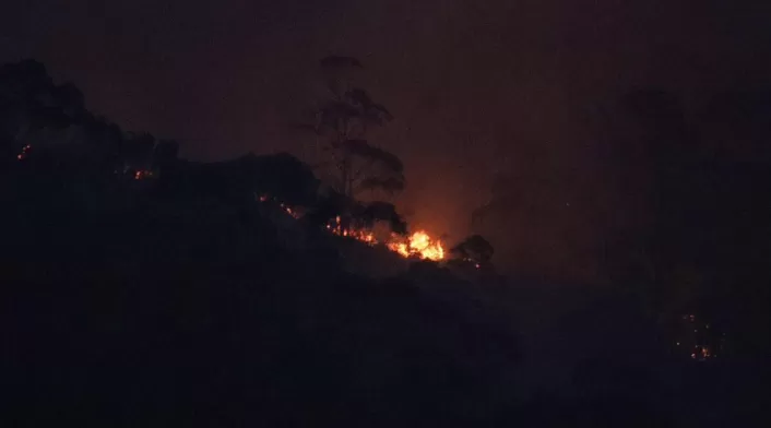 Incendio forestal Incendio forestal