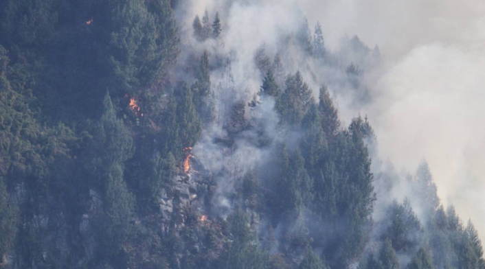 Incendio forestal Incendio forestal