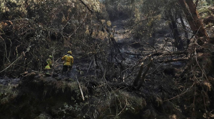Incendios en Colombia Incendios en Colombia