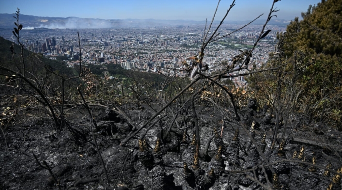 Incendios forestales en Colombia