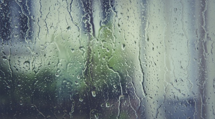 Lluvia Lluvia