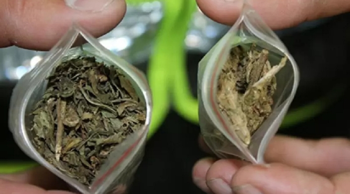 Marihuana. Foto ilustrativa
