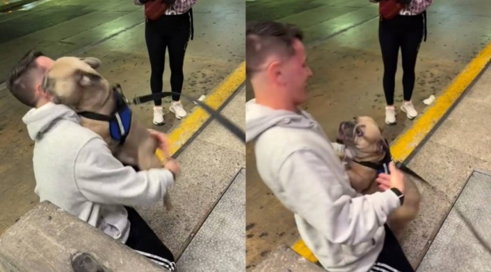Emotivo reencuentro entre un perro y su dueño Emotivo reencuentro entre un perro y su dueño