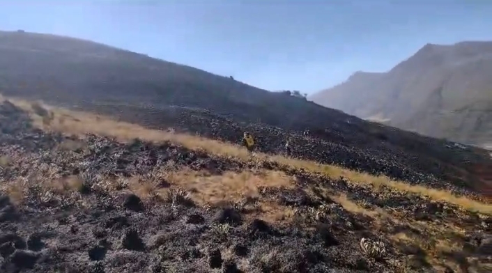 Páramo de Almorzadero después de incendio forestal.