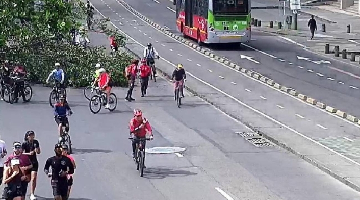 arbol_en_bogota.jpg arbol_en_bogota.jpg