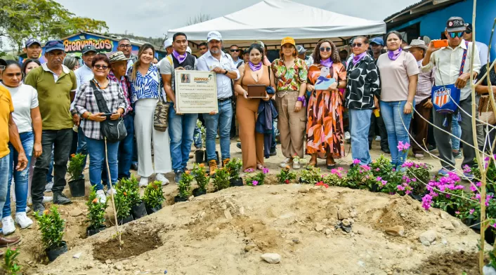 Este un programa productivo para el cultivo tecnificado de cáñamo de cannabis