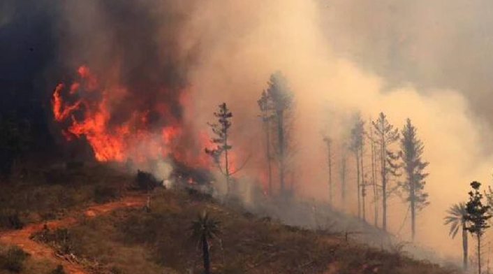 Incendio forestal en Chile Incendio forestal en Chile