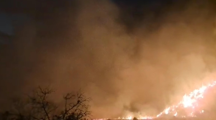 En el 60 % del Tolima se han registrado incendios forestal En el 60 % del Tolima se han registrado incendios forestal