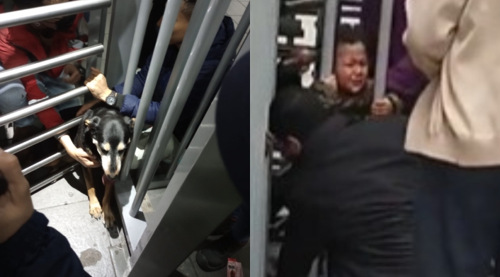 Niño y perrita atascados en Transmilenio Niño y perrita atascados en Transmilenio