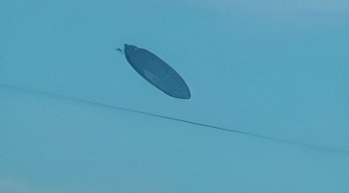 Ovni es captado en el cielo de Argenina