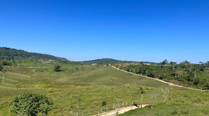 Tierras en el Tolima