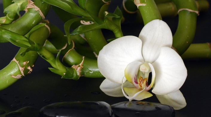 Cinco consejos del Feng Shui para su hogar Cinco consejos del Feng Shui para su hogar