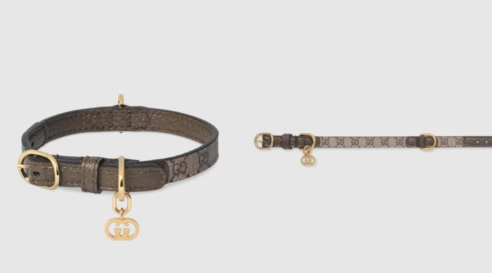 Collares Gucci para mascotas Collares Gucci para mascotas