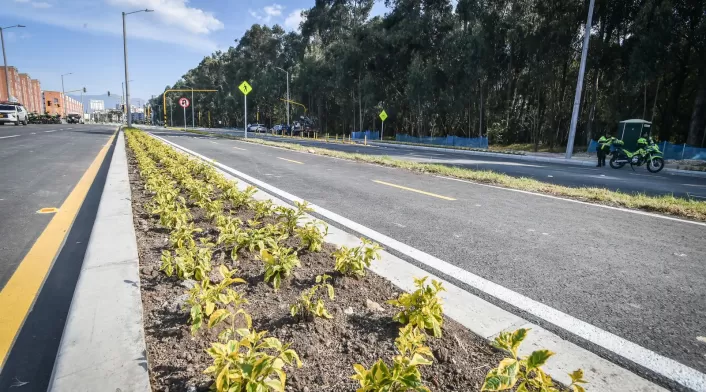 Avenida Guayacanes