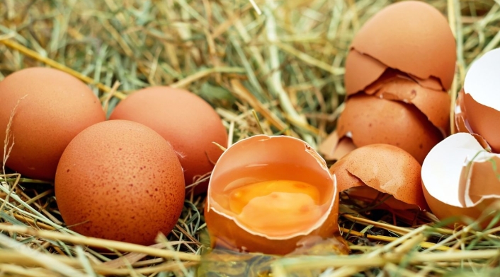 ¿Cómo almacenar correctamente los huevos? Huevos
